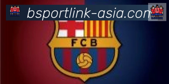 Bsports官网合作伙伴