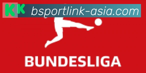 Bsports官网合作伙伴