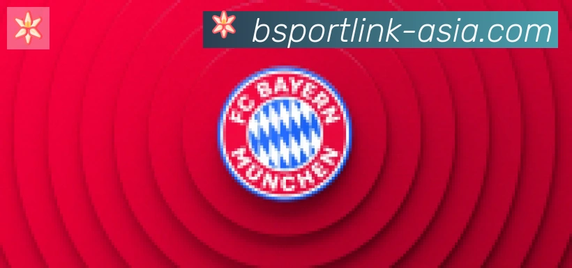 Bsports官网合作伙伴